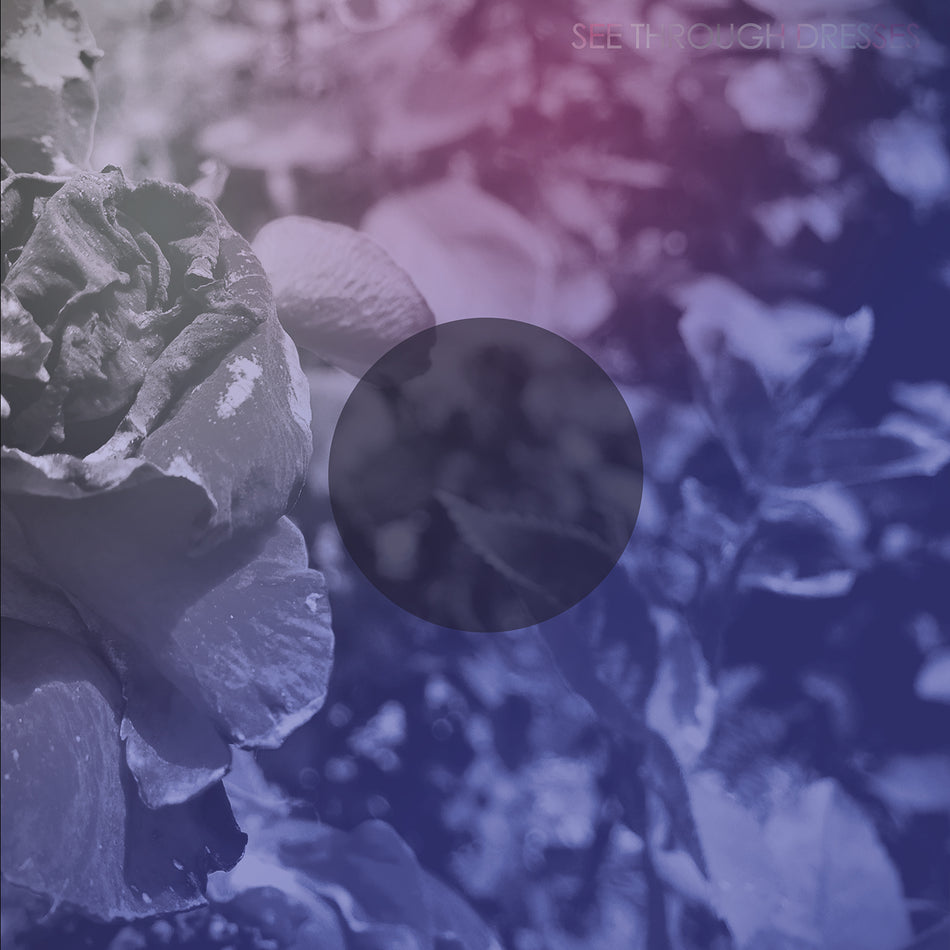 SEE THROUGH DRESSES - Front Cover