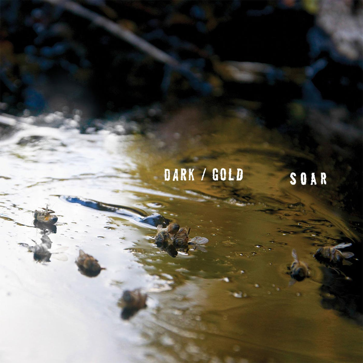 DARK / GOLD -DOWNLOAD- - Front Cover