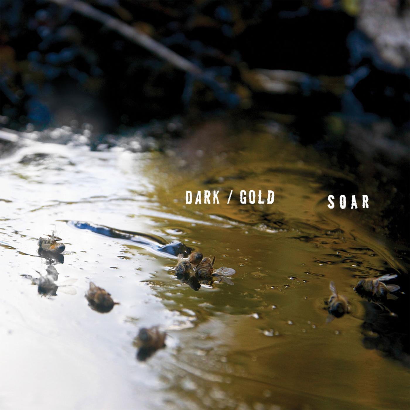 DARK / GOLD -DOWNLOAD- - Front Cover