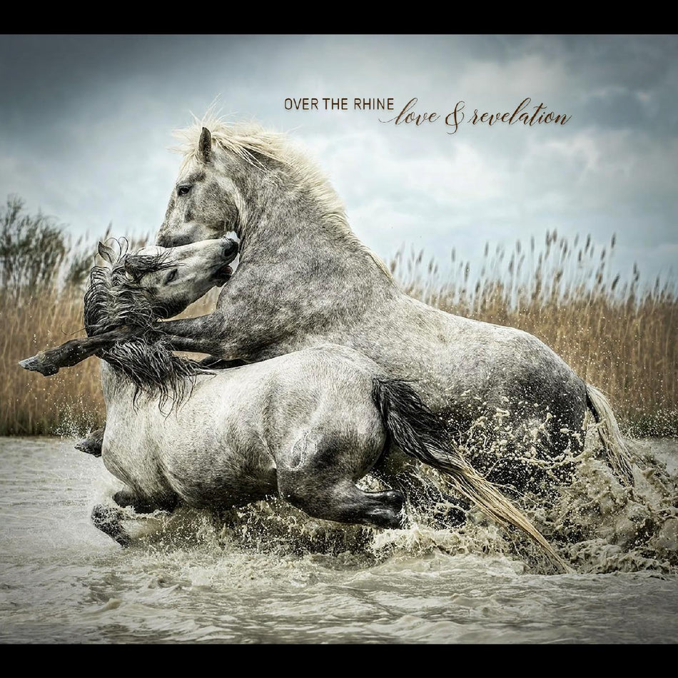 LOVE AND REVELATION/INCLUS UN CODE DE TELECHARGEMENT - Front Cover