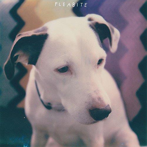 NVM - Front Cover