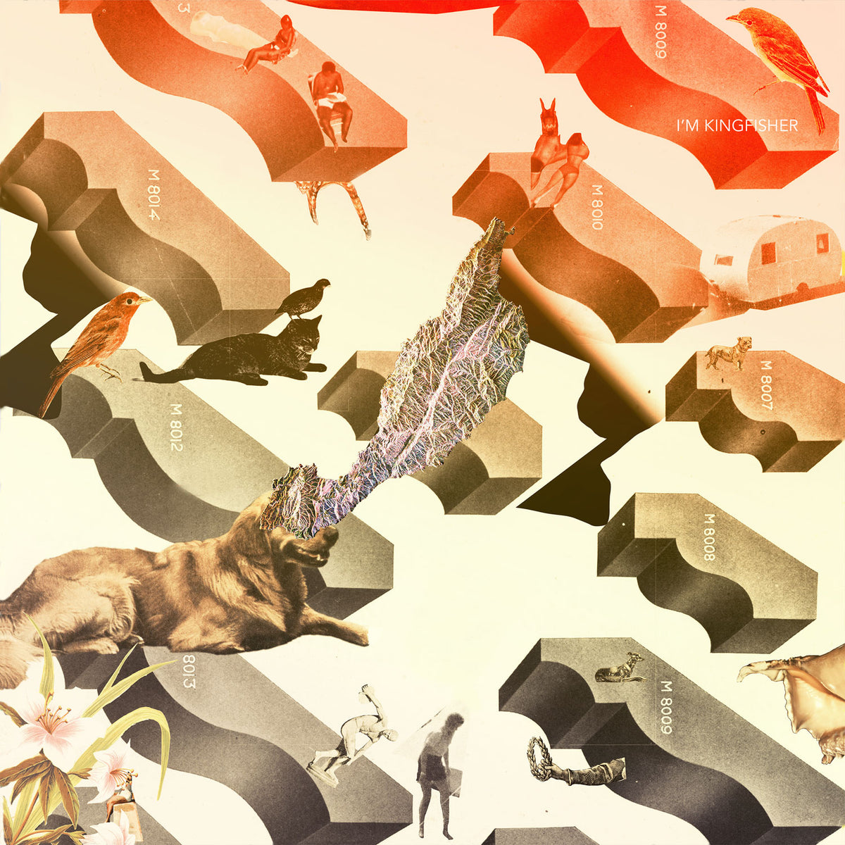 TRANSIT - Front Cover