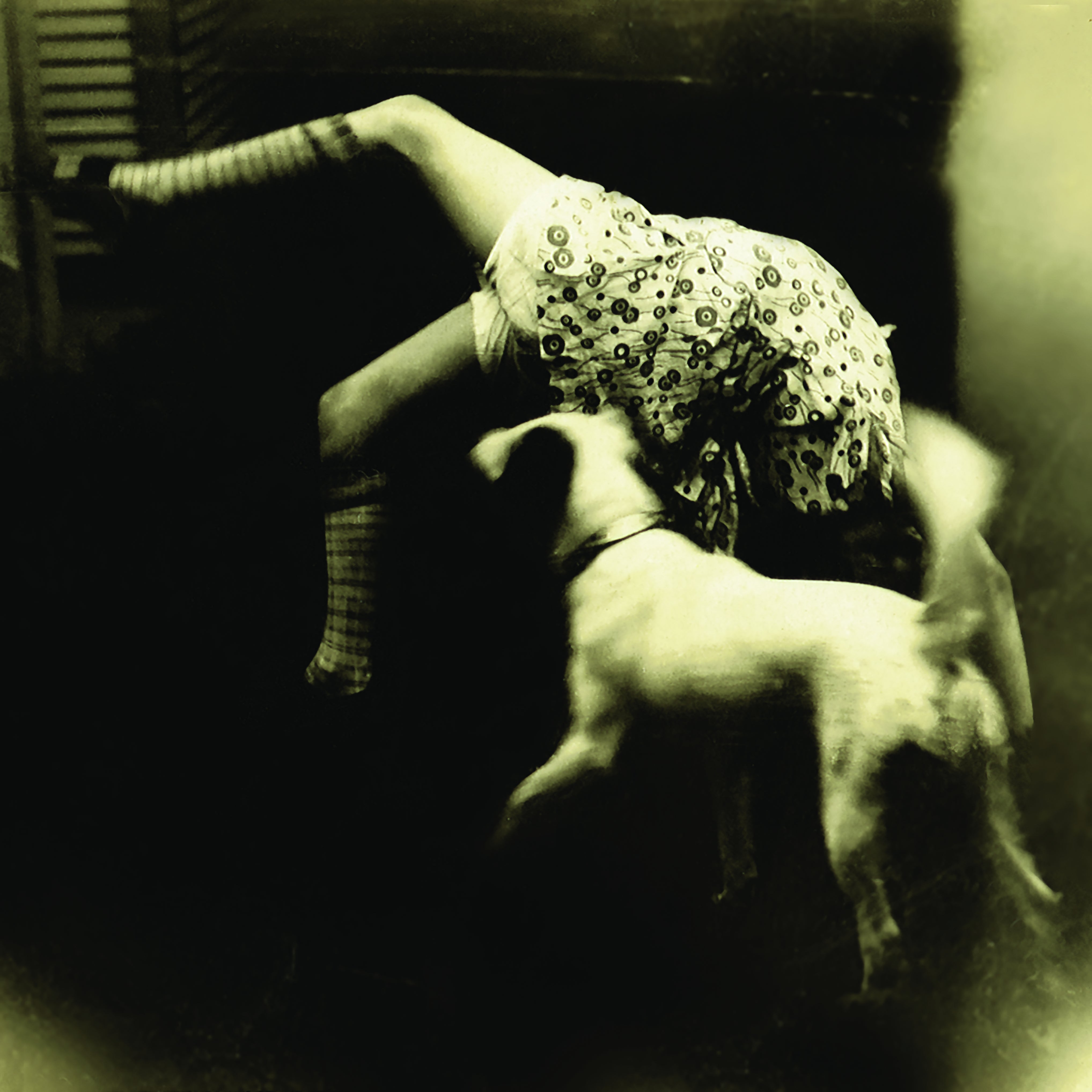 GOOD DOG BAD DOG: THE.. - Front Cover