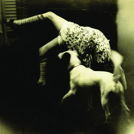 GOOD DOG BAD DOG: THE.. - Front Cover