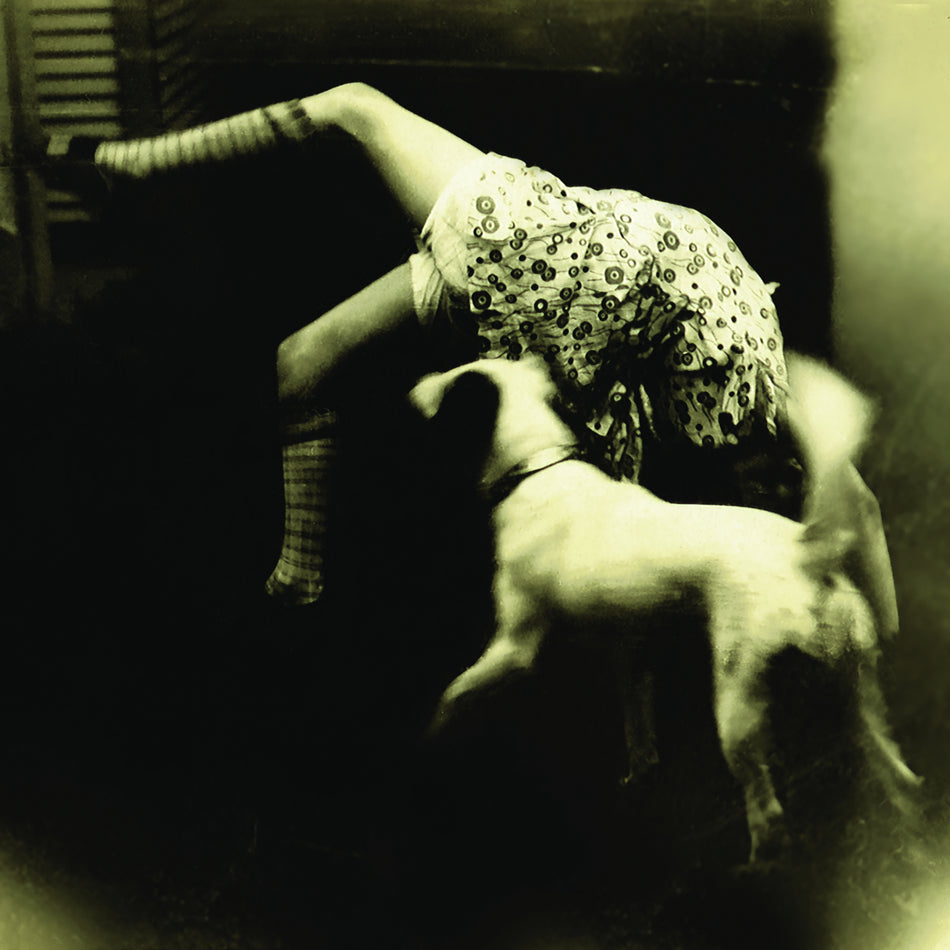 GOOD DOG BAD DOG: THE.. - Front Cover