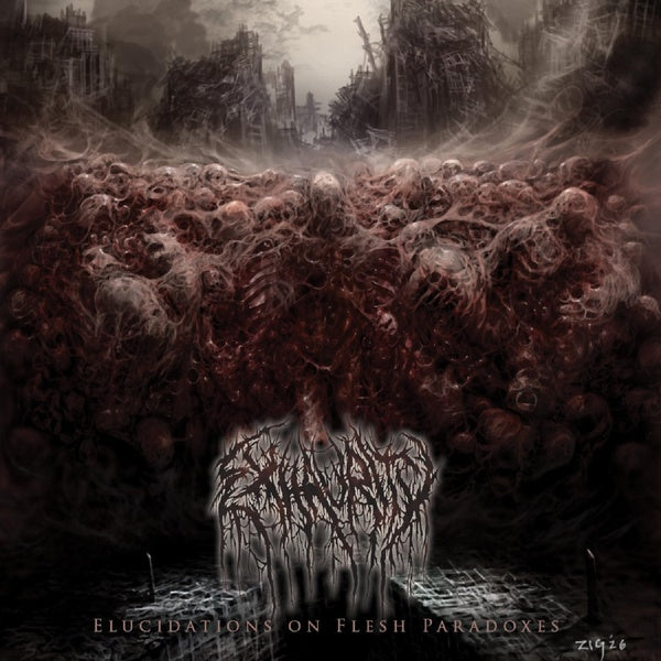 Elucidations On Flesh Paradoxes - Front Cover
