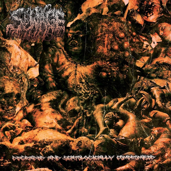 Degraded And Scatologically Compromised - Front Cover