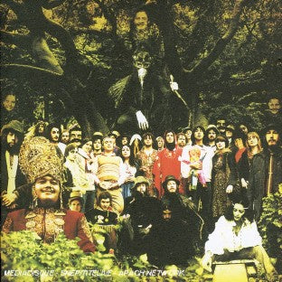 Cripple crow - Front Cover