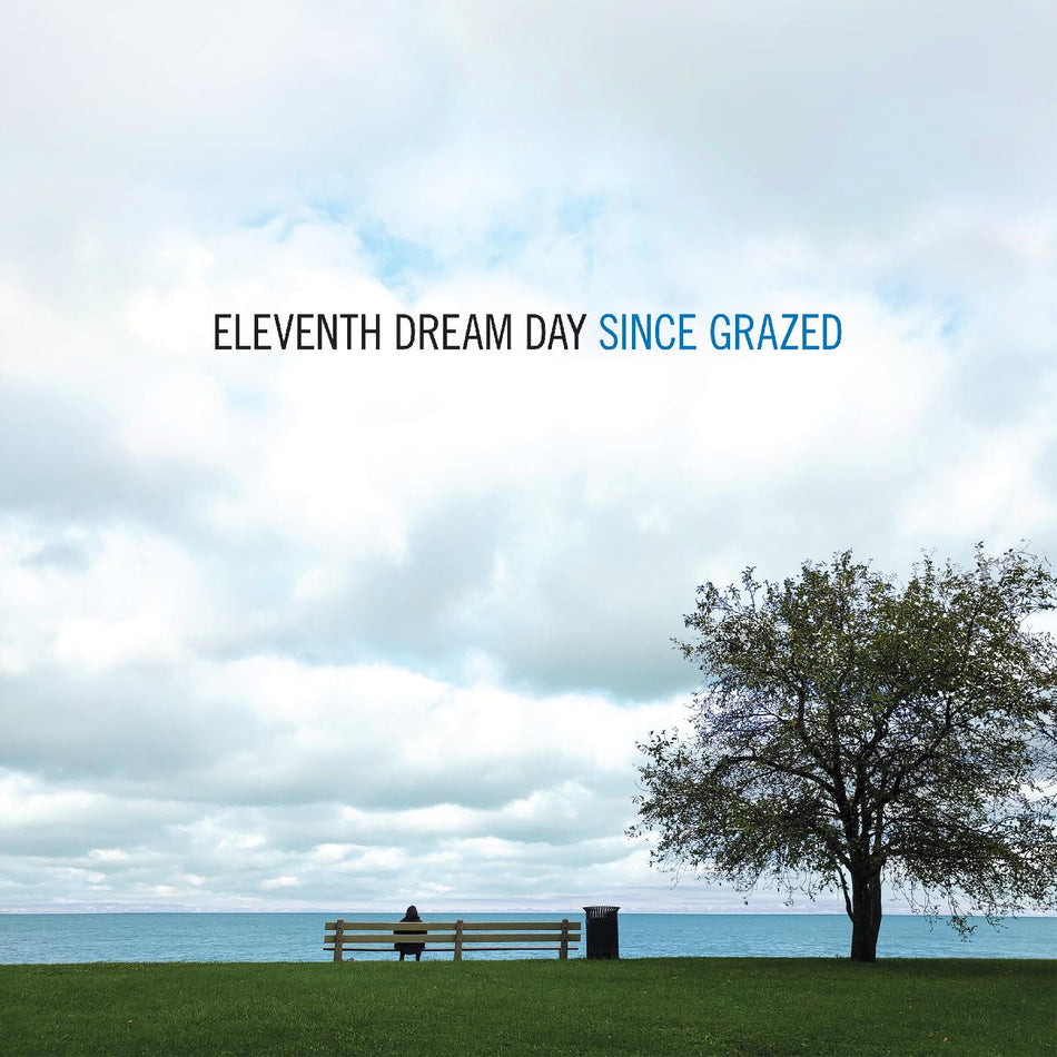 SINCE GRAZED - Front Cover