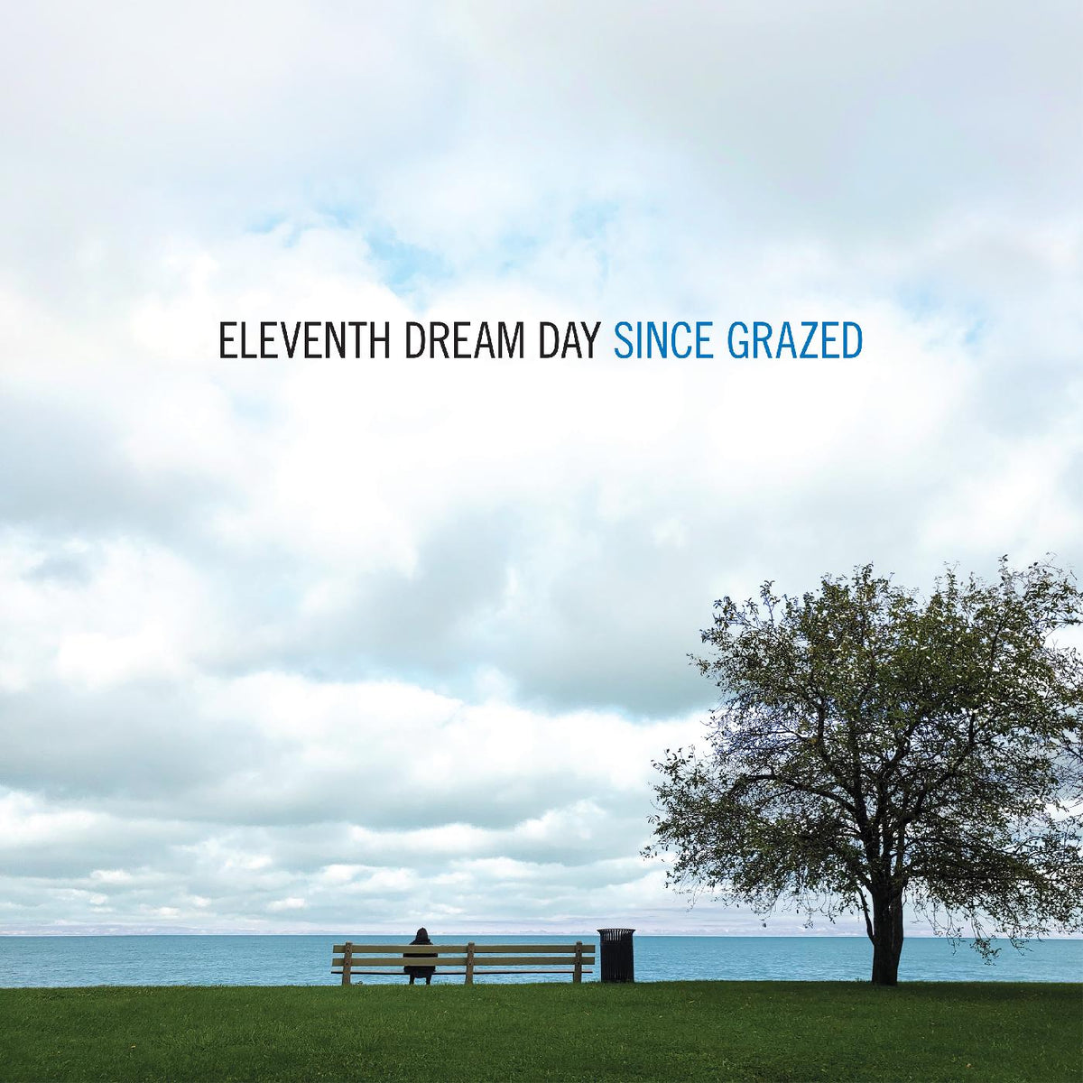 SINCE GRAZED - Front Cover