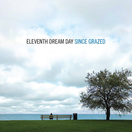 SINCE GRAZED - Front Cover