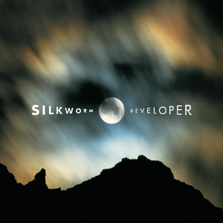 Developer - Front Cover