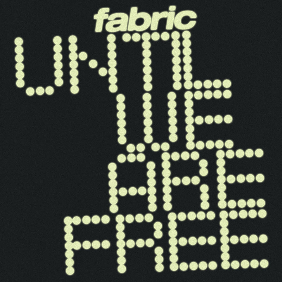 Until We Are Free - Front Cover