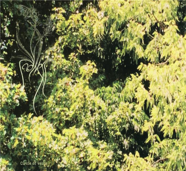 Circle Of Veins - Front Cover