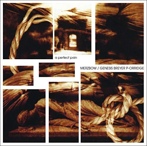 A Perfect Pain - Front Cover