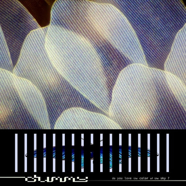 Do You Love The Color of The Sky? - Vinyle - Front Cover