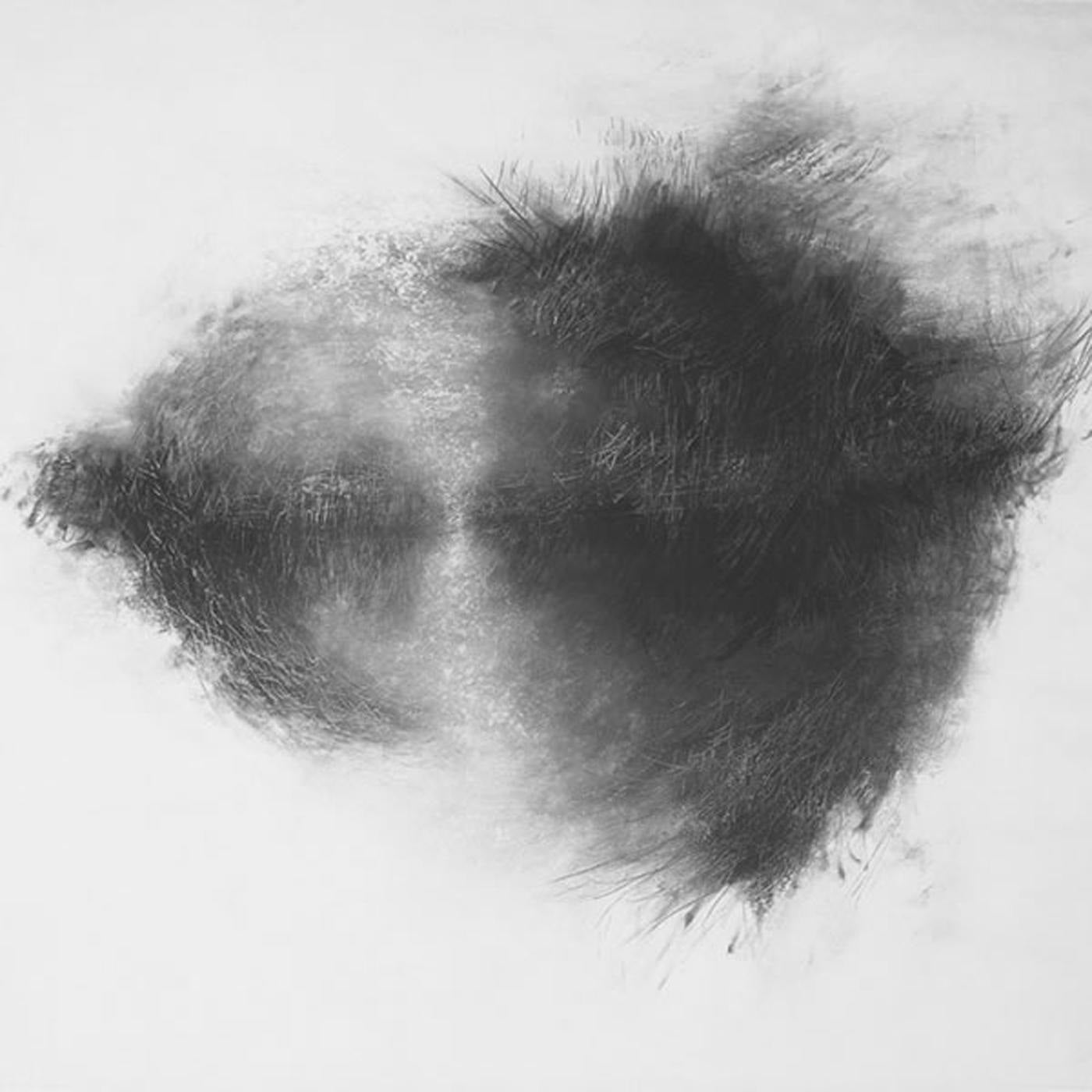 ADVISORY COMMITTEE/VINYLE COULEUR - Front Cover