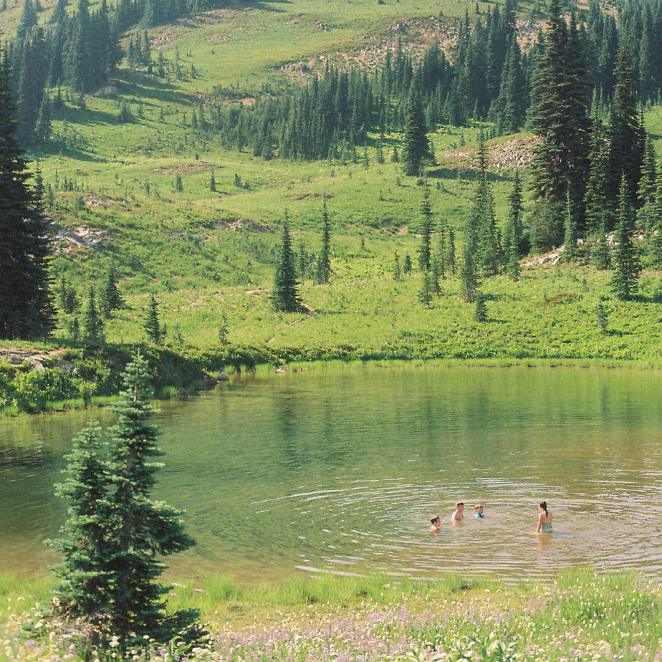 GREAT BIG WILD OAK/VINYLE BLANC - Front Cover