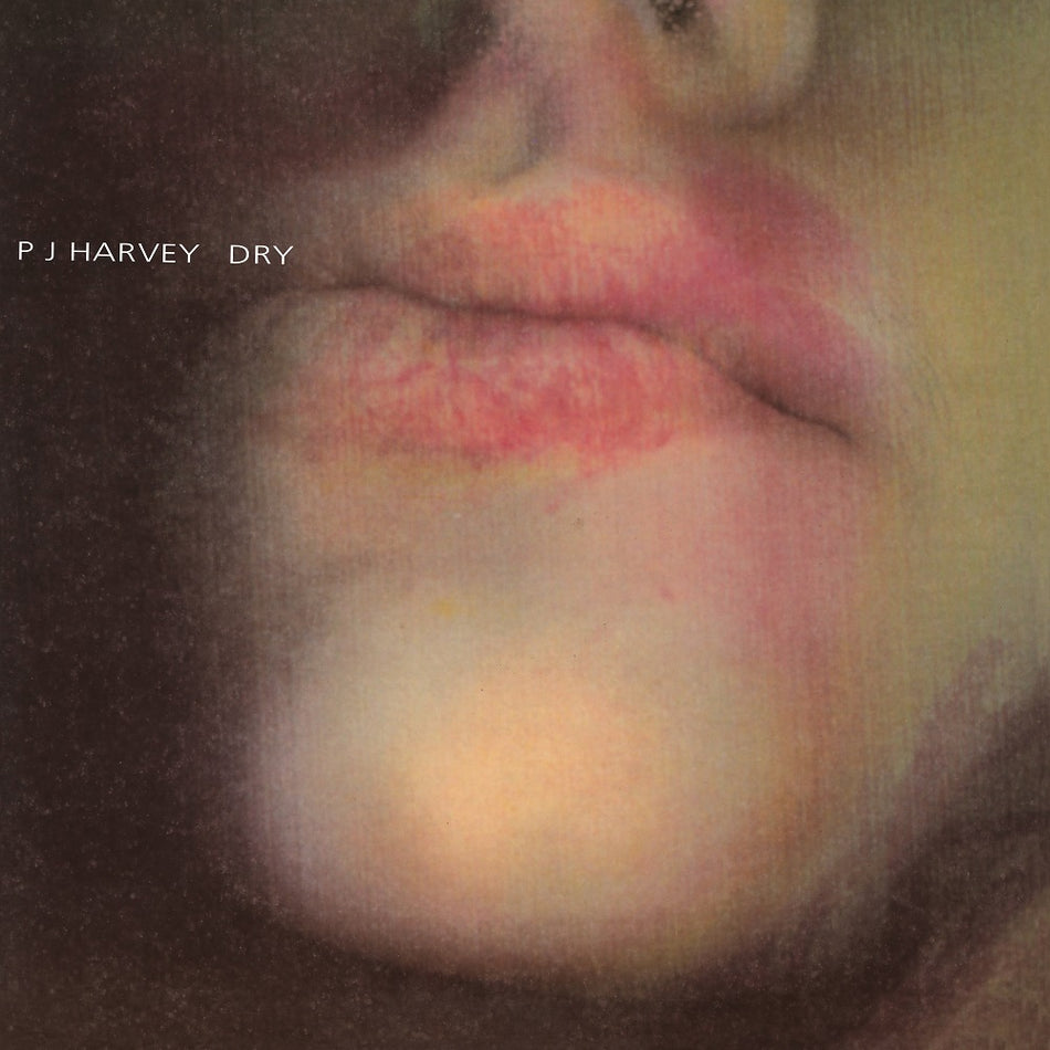 DRY - Front Cover