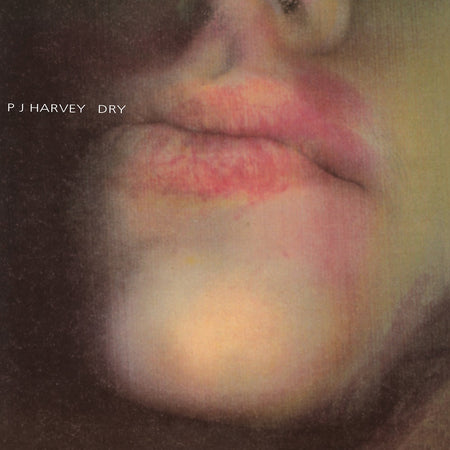 DRY - Front Cover