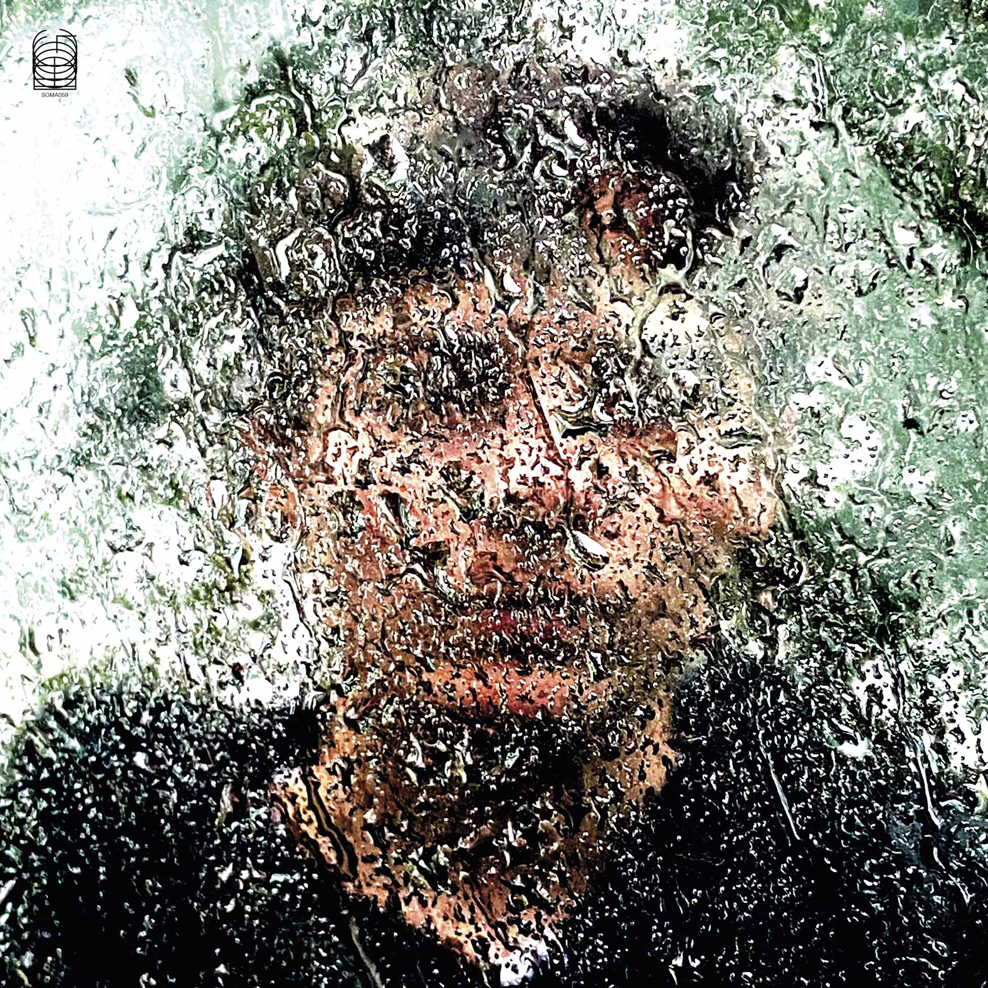 Bye Bye Bird - Front Cover