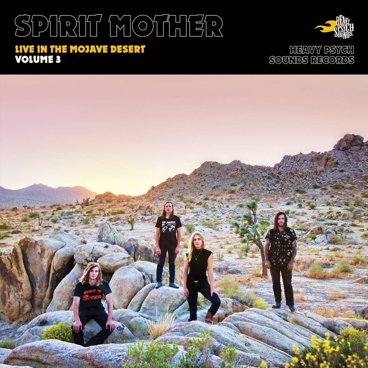 Live In The Mojave Desert - Volume 3 - Front Cover
