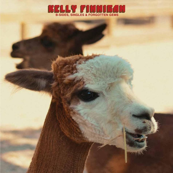B-Sides, Singles & Forgotten Gems - Front Cover