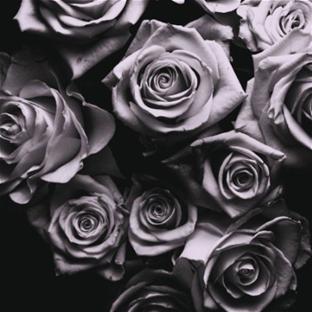 WITH LOVE - Front Cover