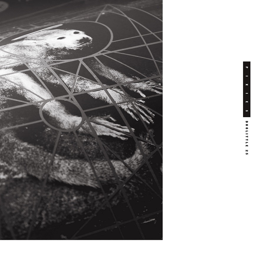 DOOLITTLE 25 : B-SID - Front Cover