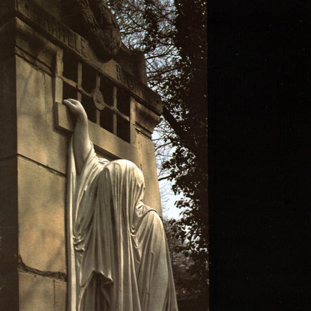 WITHIN THE REALM OF A DYING SUN - Front Cover
