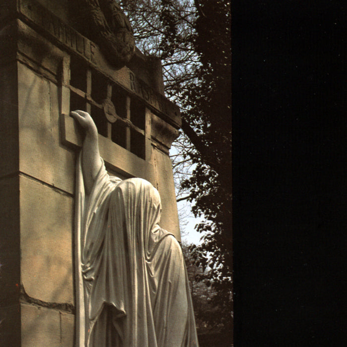 WITHIN THE REALM OF A DYING SUN - Front Cover