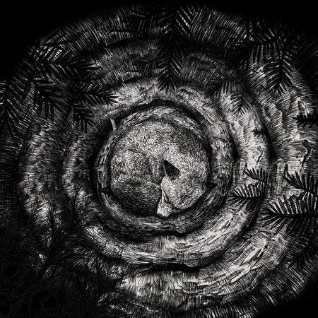 Forhist - Front Cover