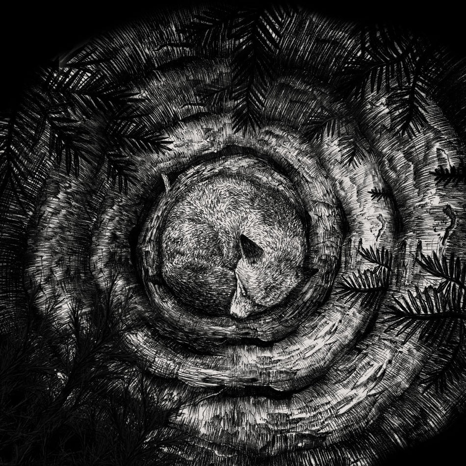 Forhist - Front Cover