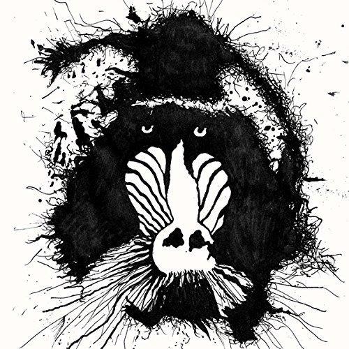 s/t - Front Cover
