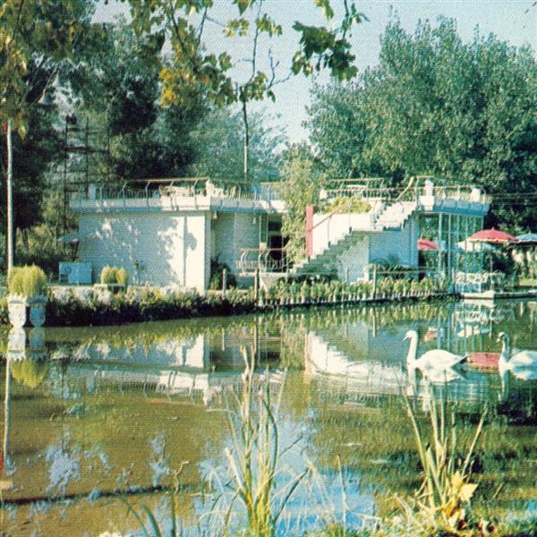 Ducktails III: Arcade Dynamics - Front Cover