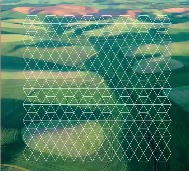 Fields - Front Cover
