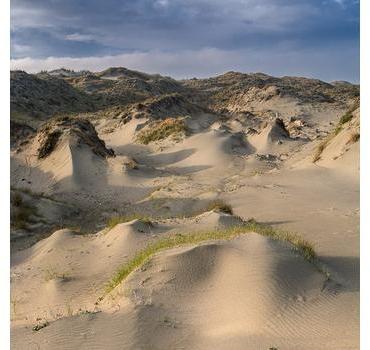 Dune Worship - Front Cover