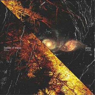 Split  - Front Cover