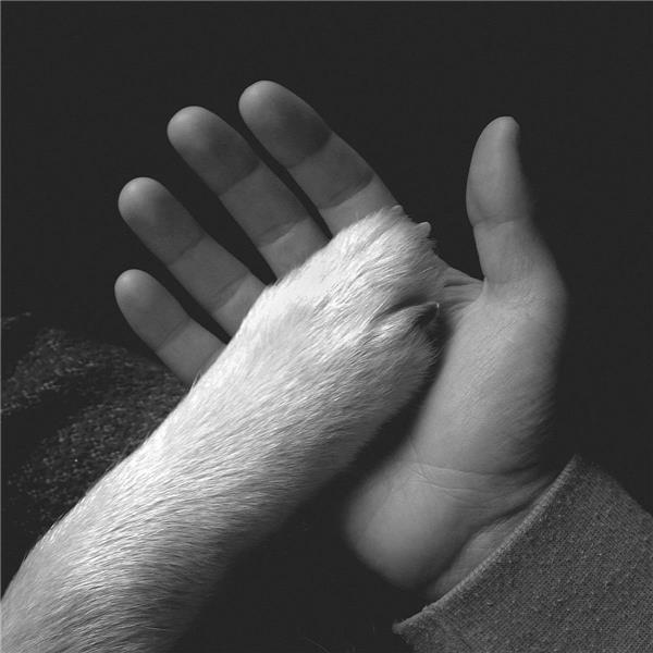 Tasha Sits Close to the Piano/Vinyle Noir et Blanc - Front Cover