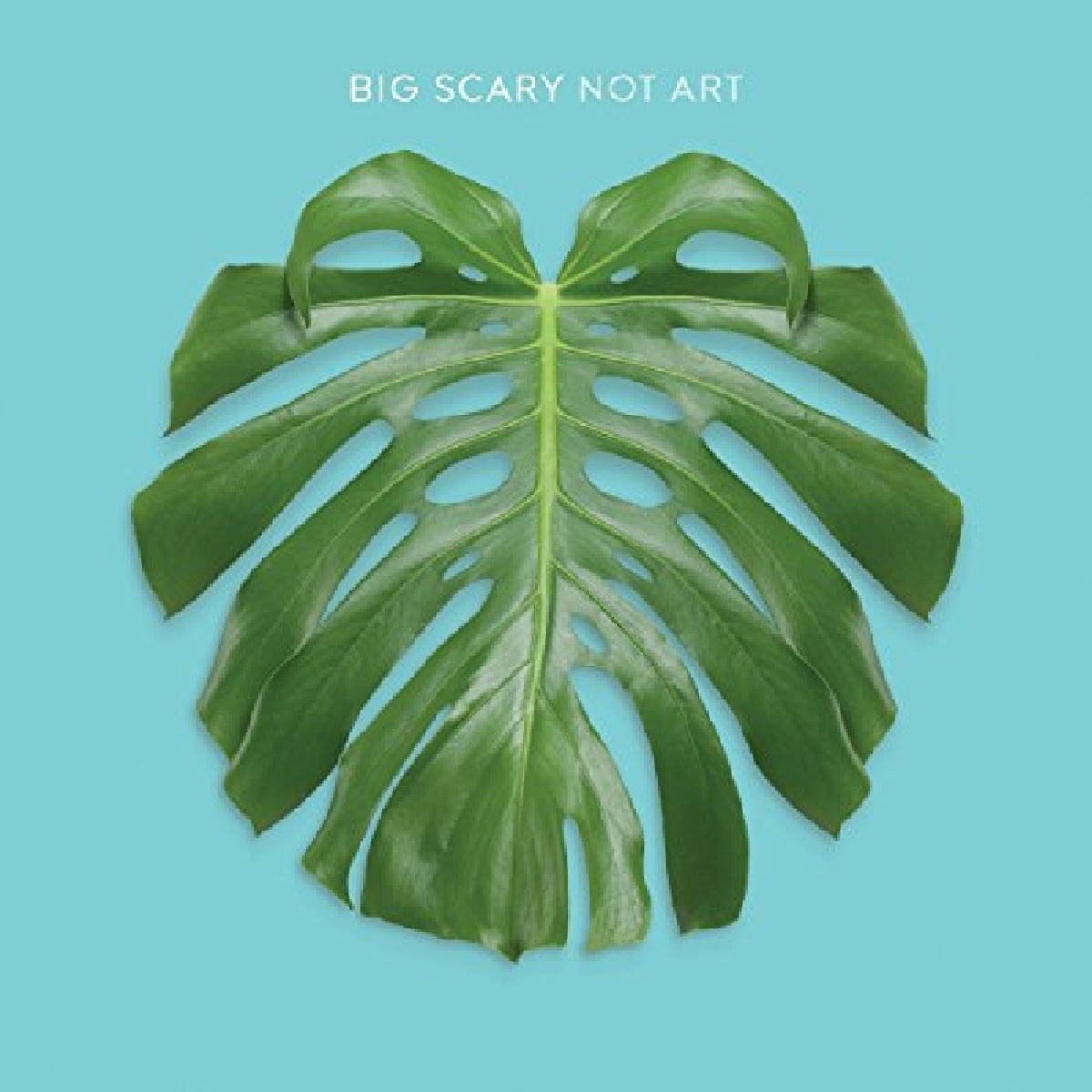 Not Art - Front Cover