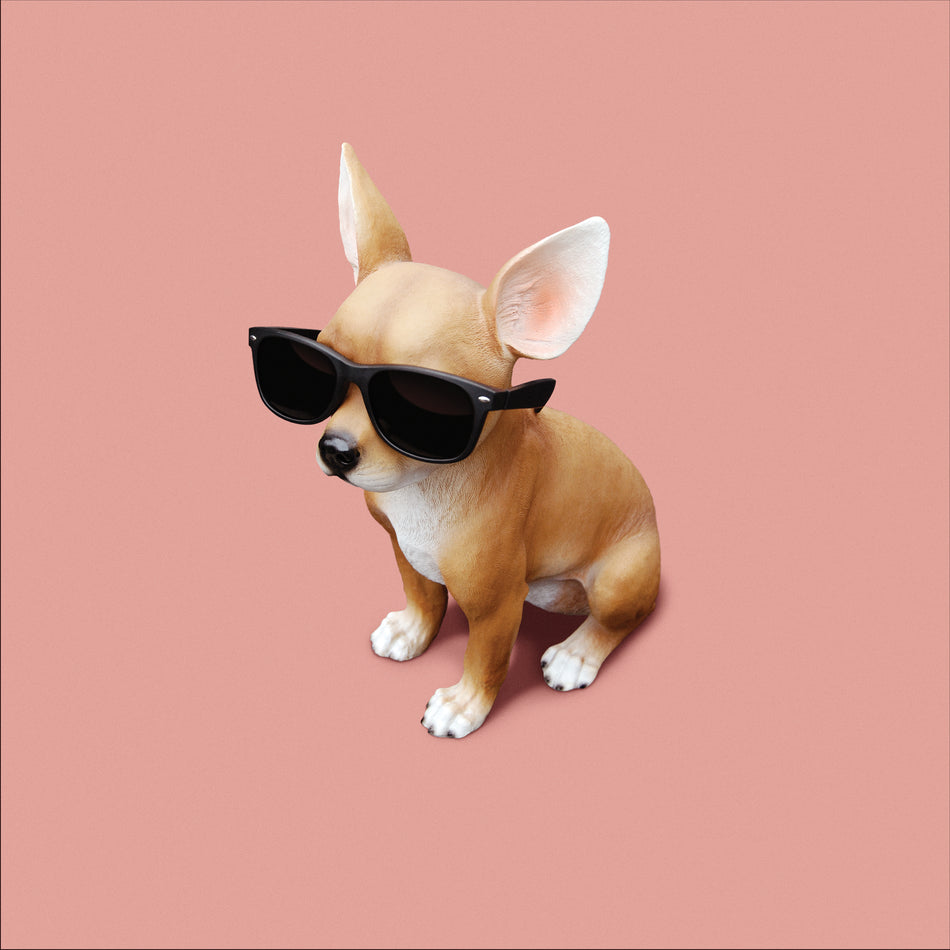LO TOM - Front Cover