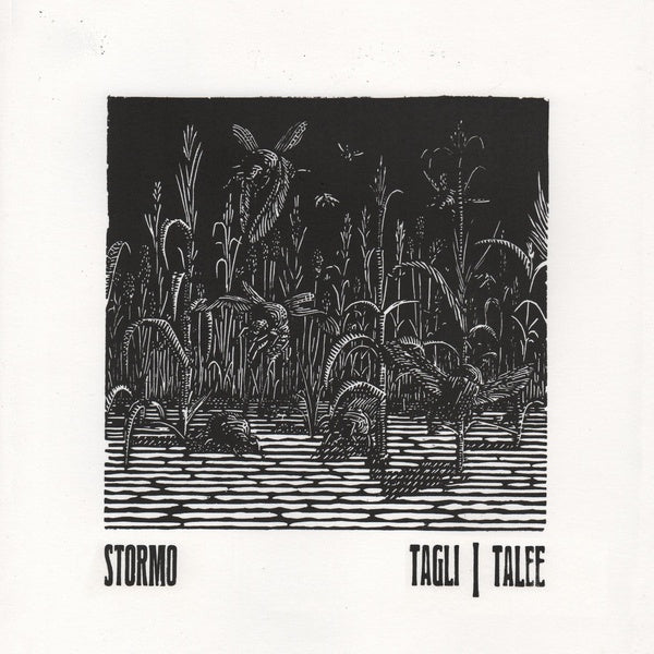 Tagli/Talee - Front Cover