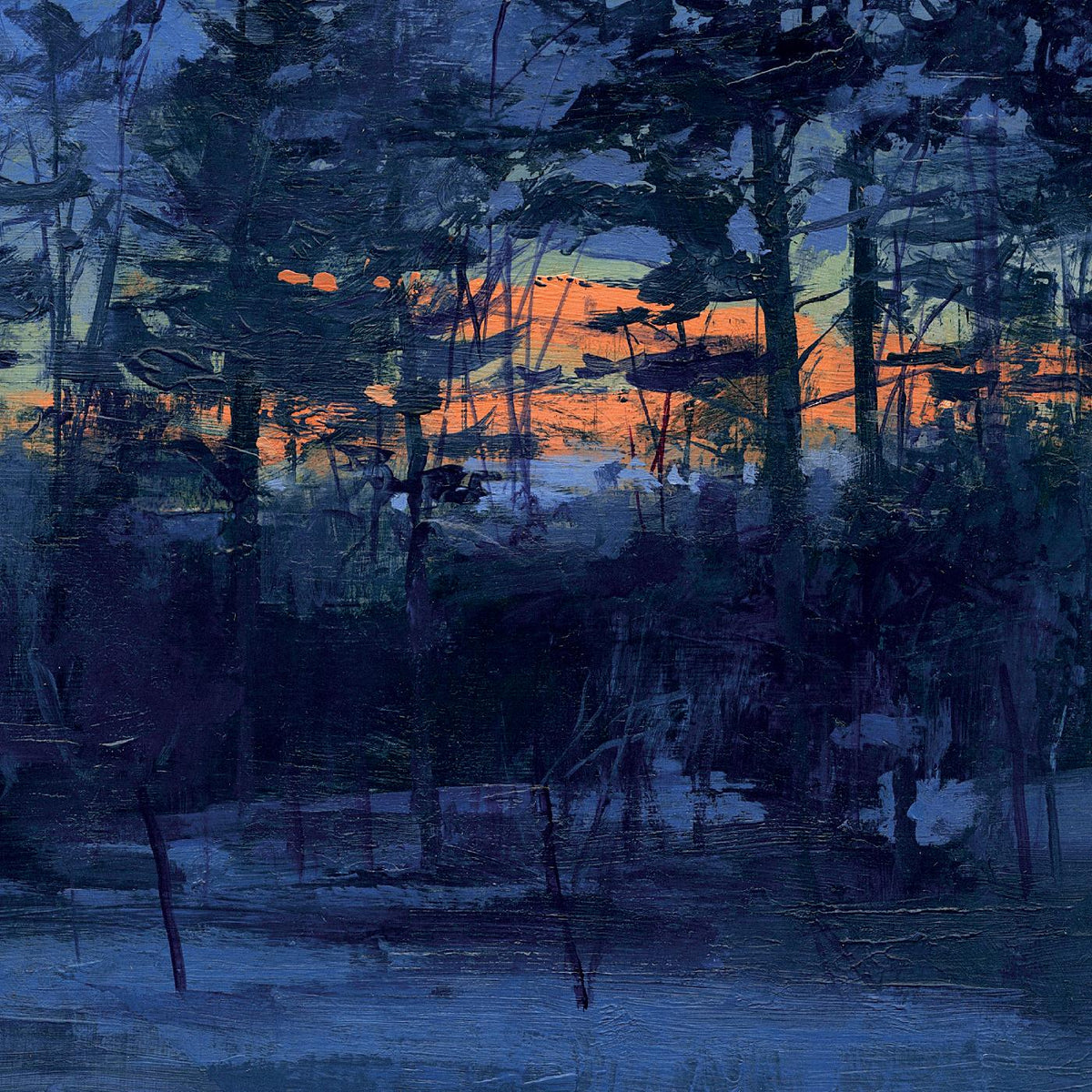 SHELF LIFE - Front Cover