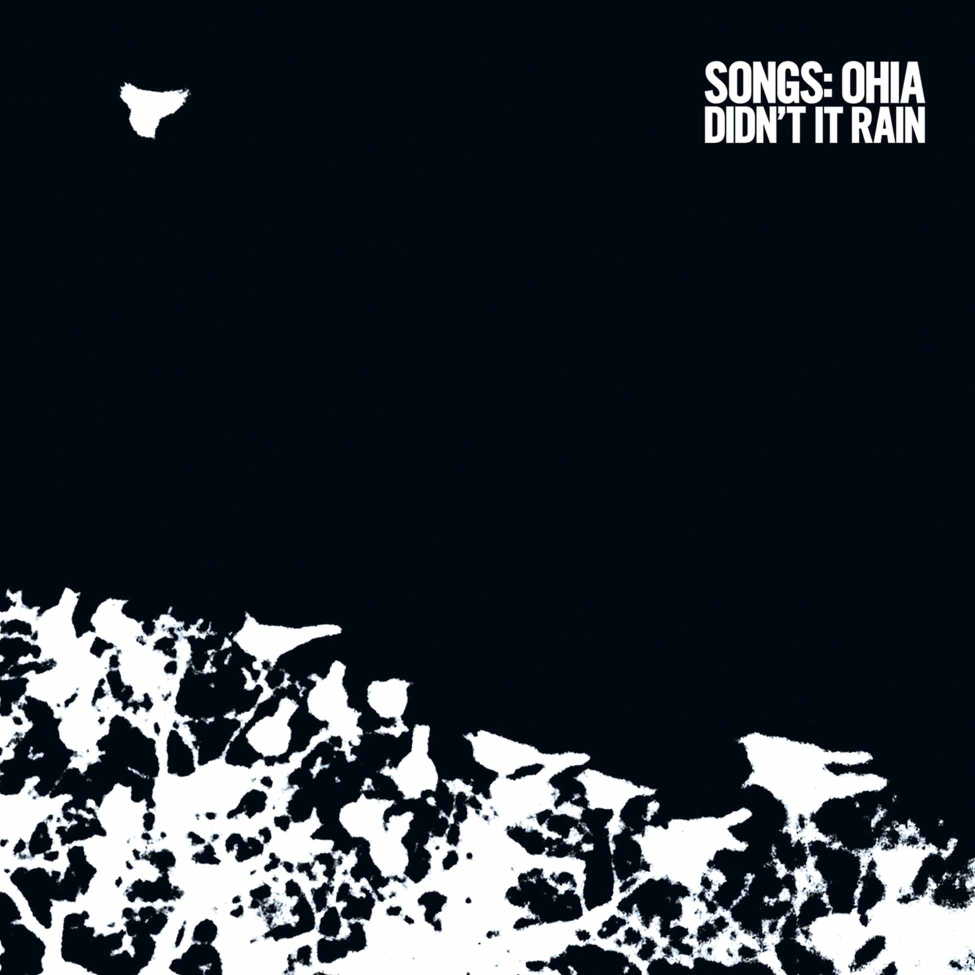 Didn'T It Rain - Front Cover