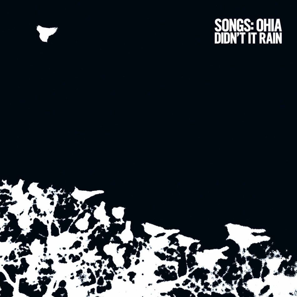 Didn'T It Rain - Front Cover