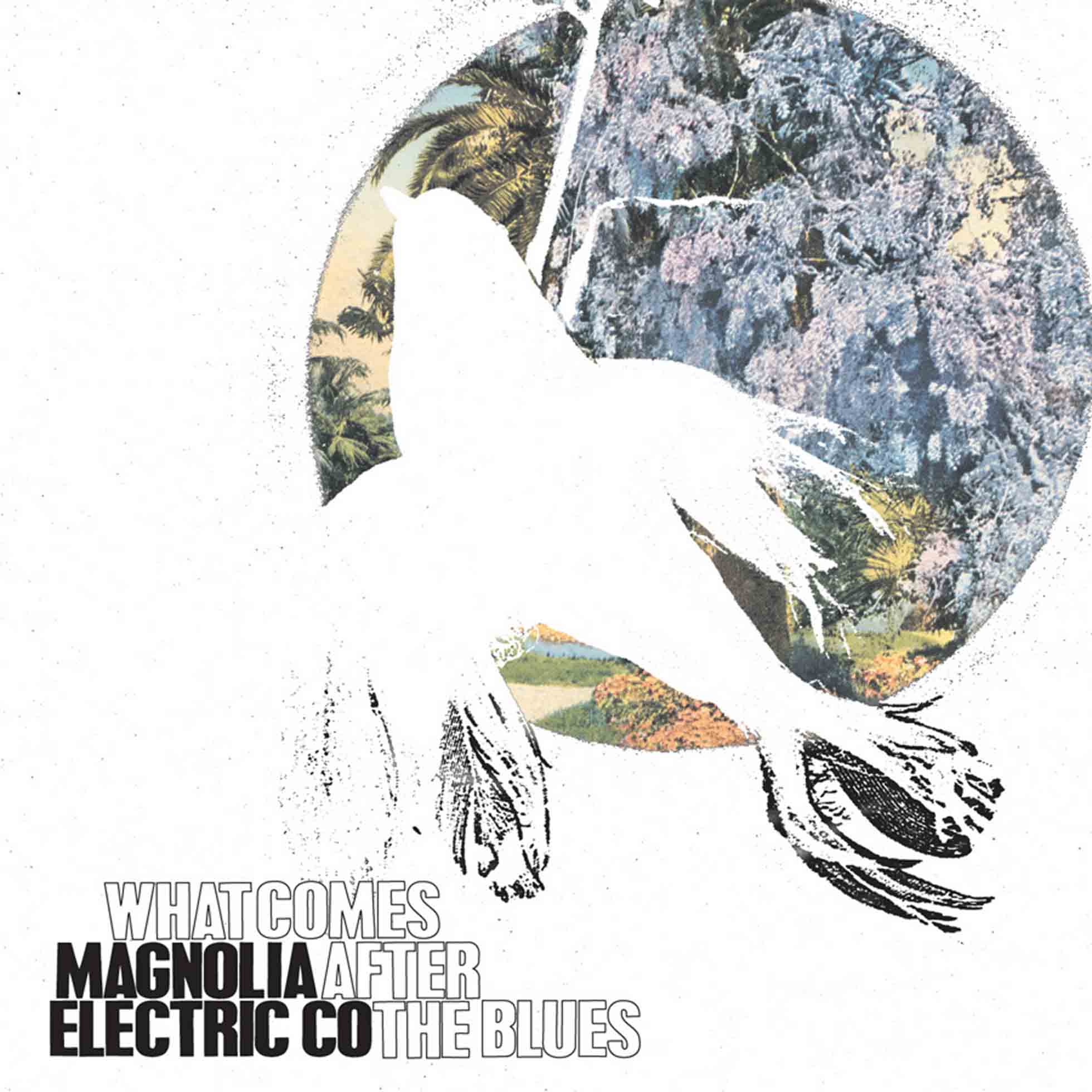 What Comes After The Blues - Front Cover