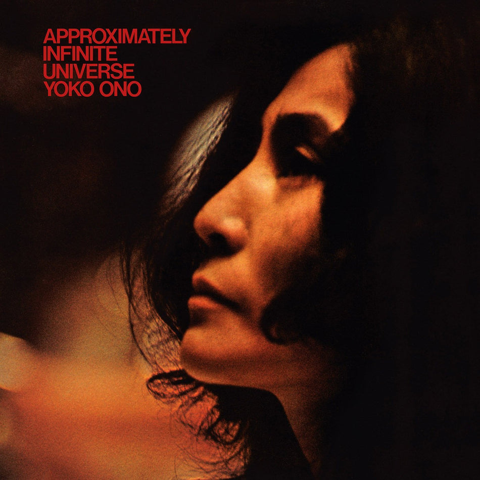 Approximately Infinite Universe - Front Cover