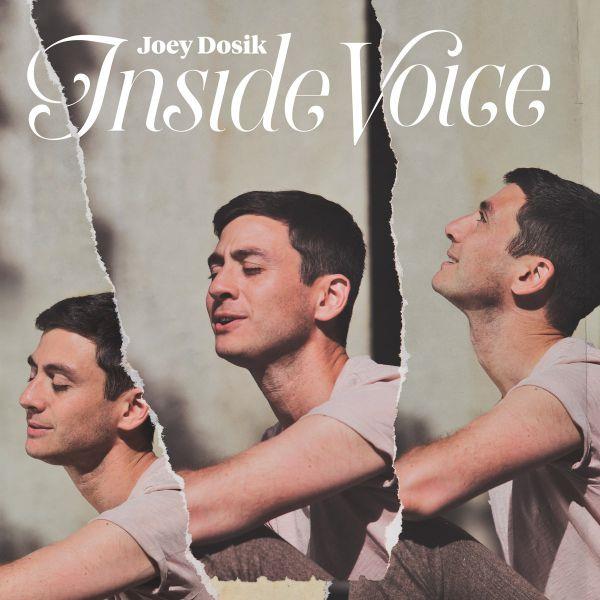 Inside voice - Front Cover