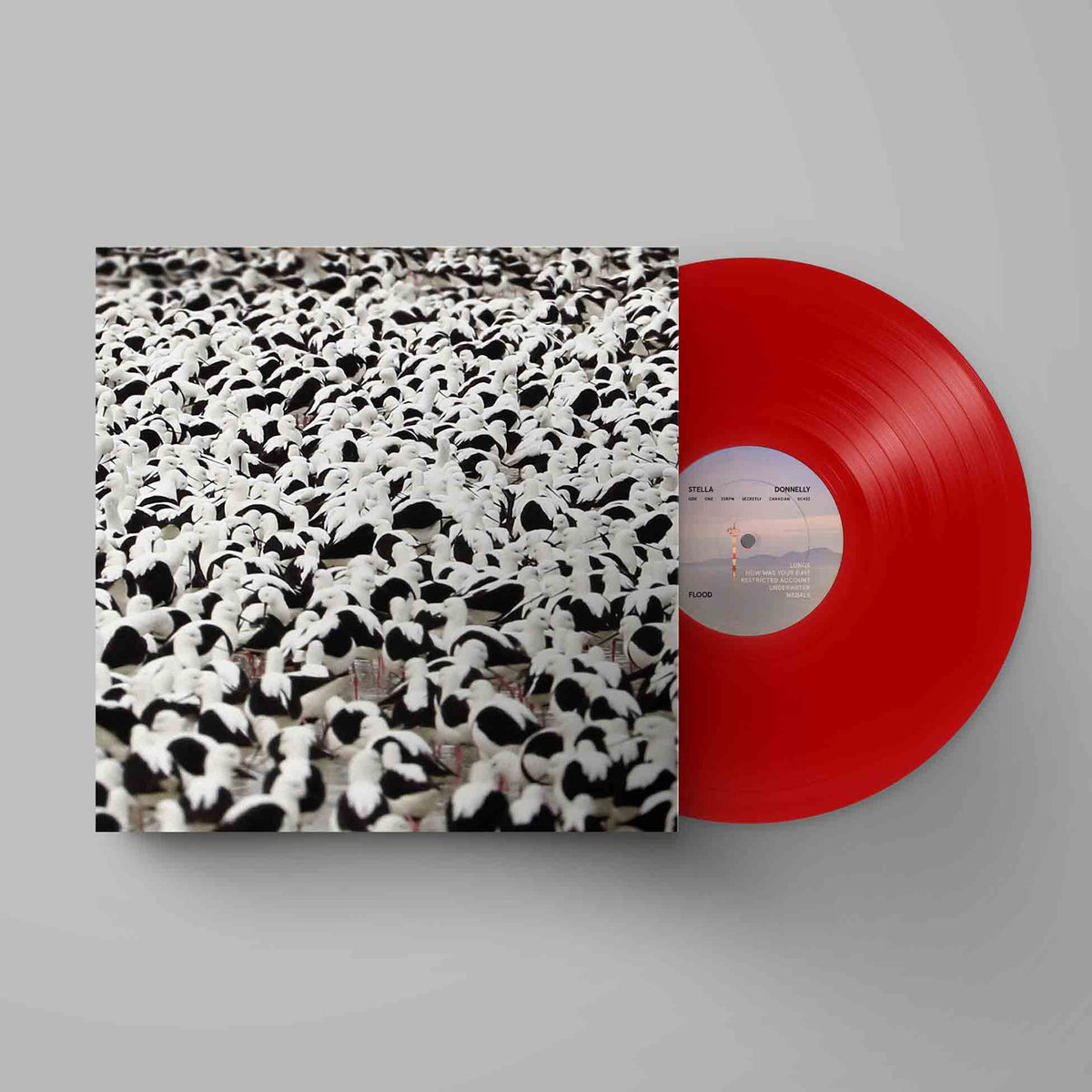 Flood - Vinyle Rouge - Front Cover