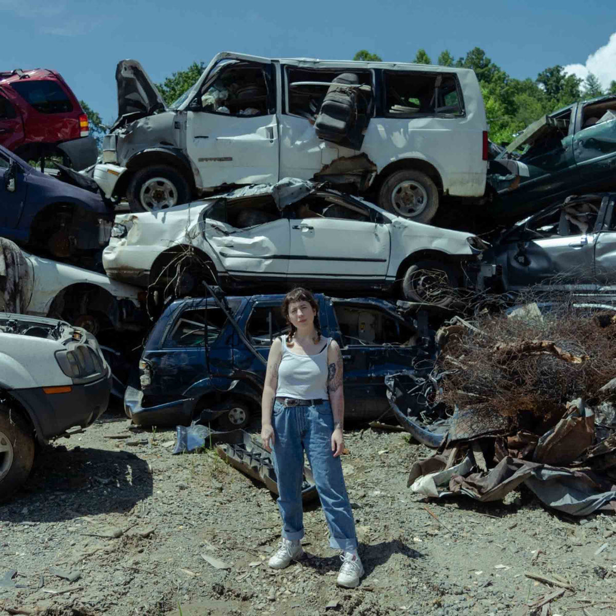 Twin Plagues - Front Cover